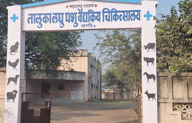 तालुका लघु पशु वैयकिय चिकित्सालय,वणी